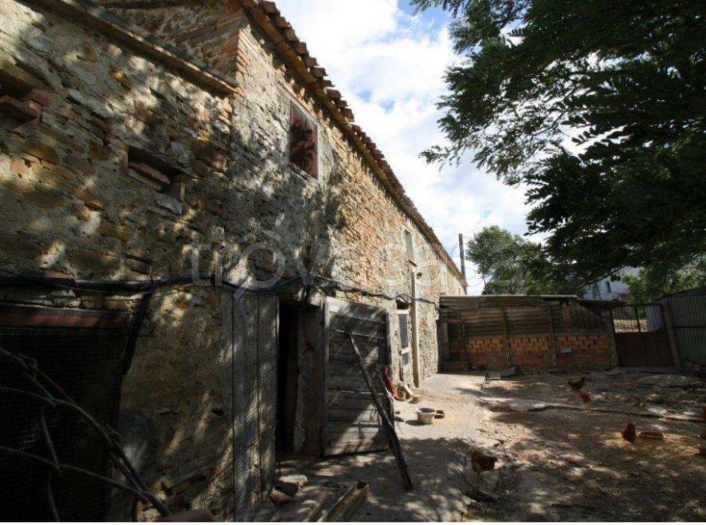 immagine annuncio 2 di 11