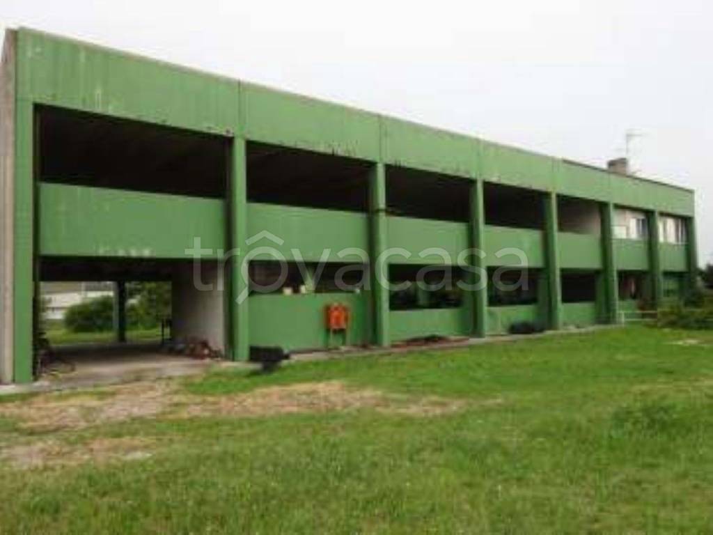 immagine annuncio 1 di 11