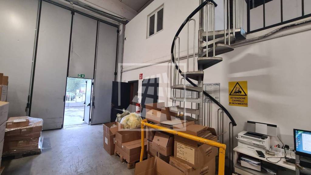 immagine annuncio 5 di 14