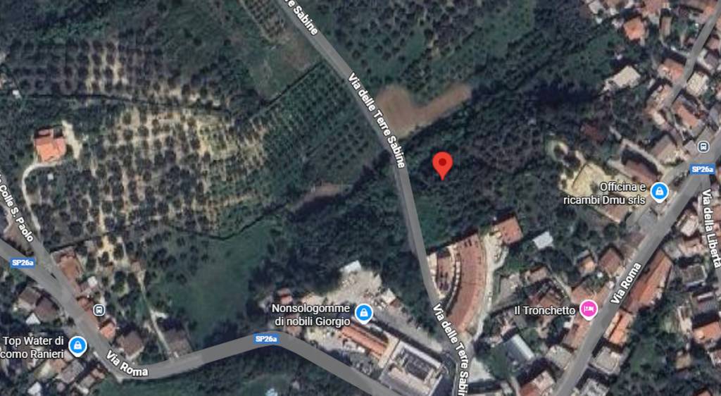 immagine annuncio 5 di 12