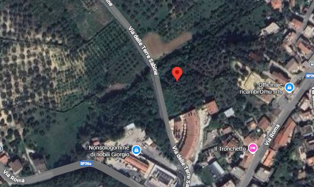 immagine annuncio 6 di 12