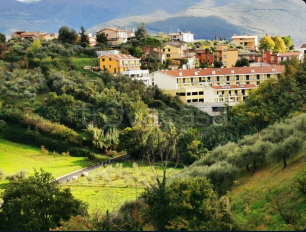 immagine annuncio 11 di 12