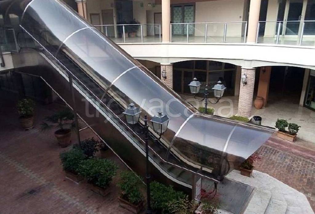 immagine annuncio 4 di 12