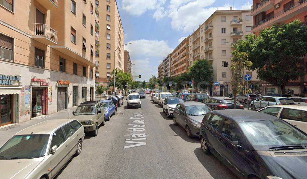 immagine annuncio 5 di 6