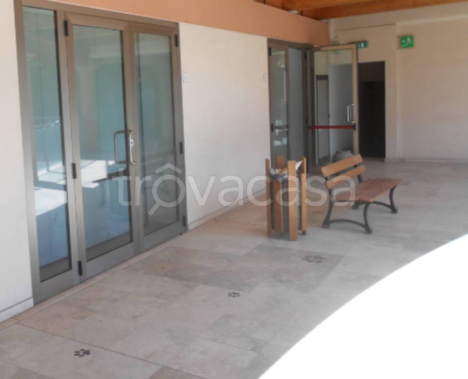 immagine annuncio 10 di 12