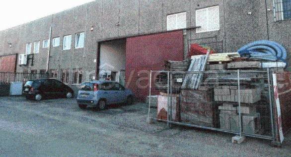 immagine annuncio 1 di 11