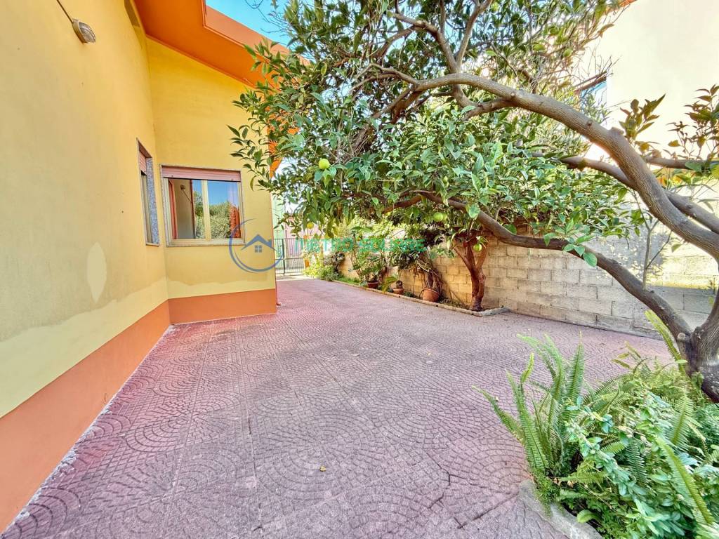 immagine annuncio 11 di 14