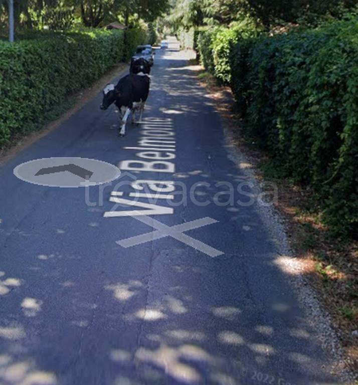 immagine annuncio 4 di 14