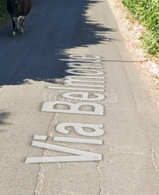 immagine annuncio 5 di 14