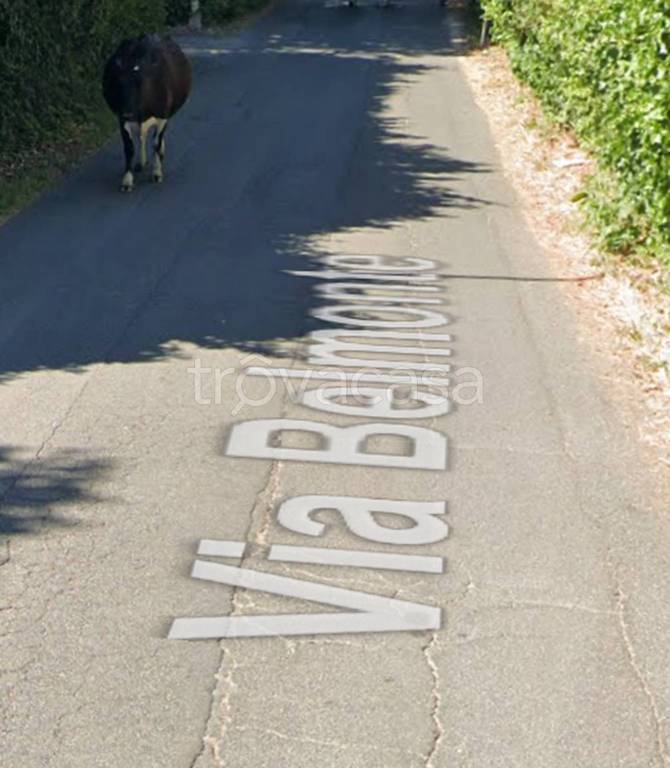 immagine annuncio 6 di 14