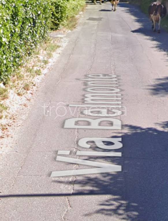 immagine annuncio 10 di 14