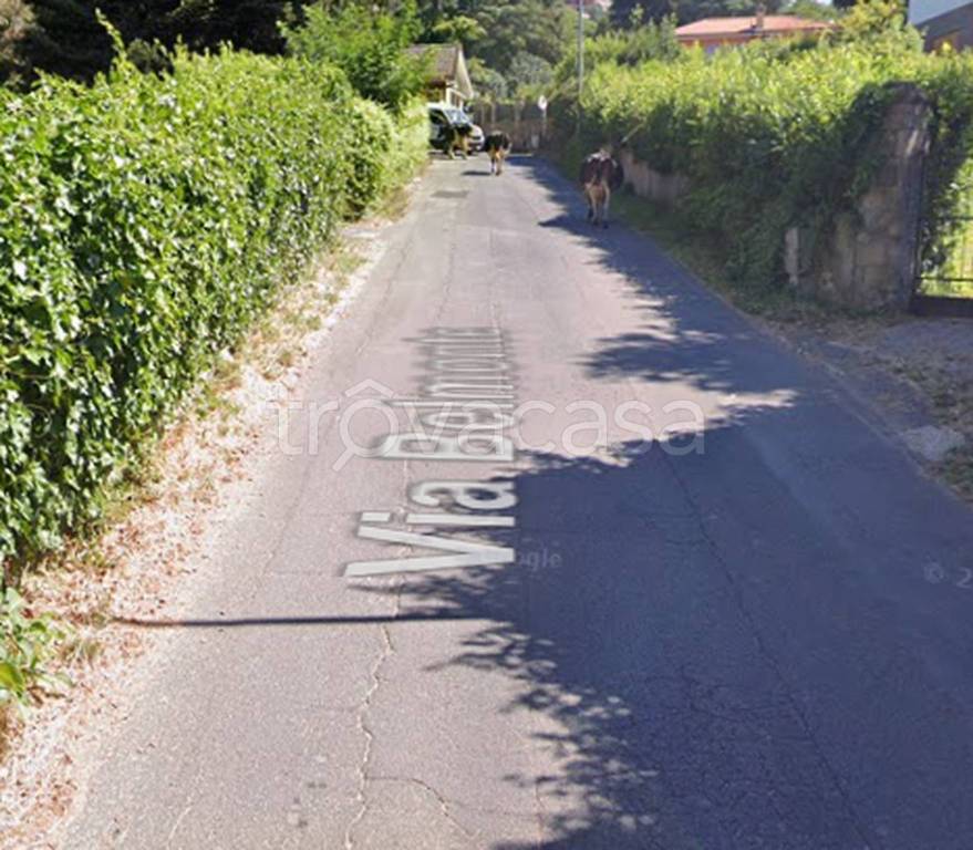 immagine annuncio 11 di 14