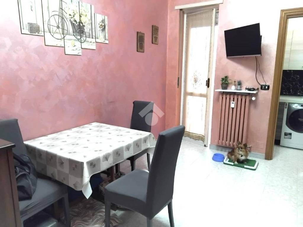 immagine annuncio 1 di 14