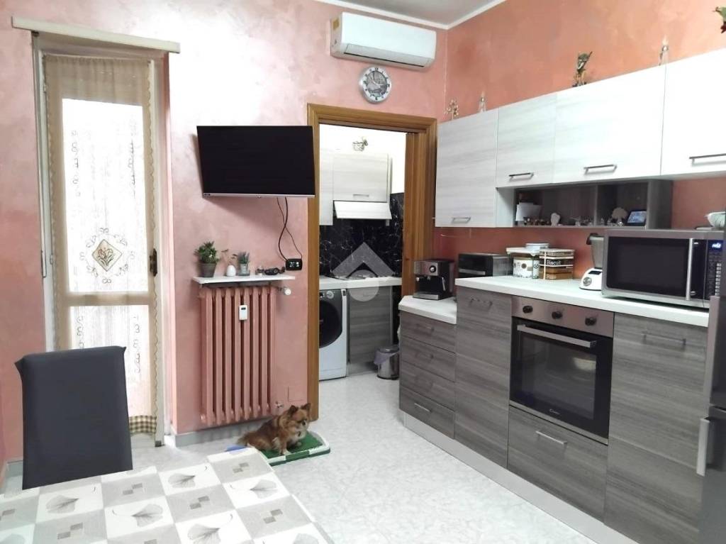 immagine annuncio 3 di 14