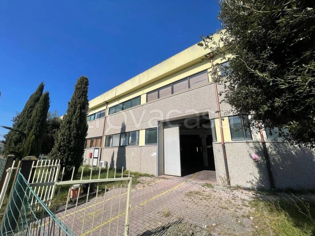 immagine annuncio 3 di 13