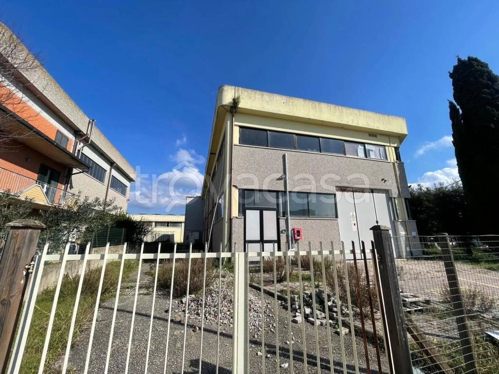 immagine annuncio 5 di 13