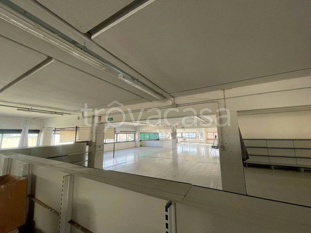 immagine annuncio 10 di 13