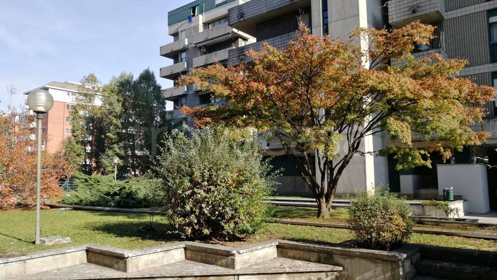 immagine annuncio 6 di 12