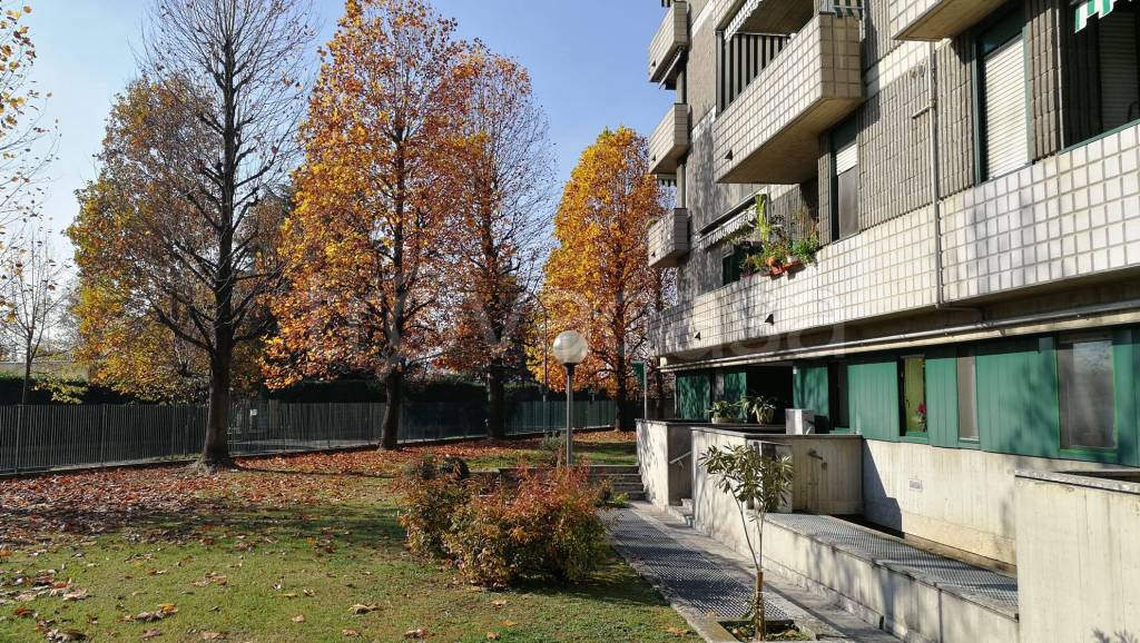 immagine annuncio 8 di 12