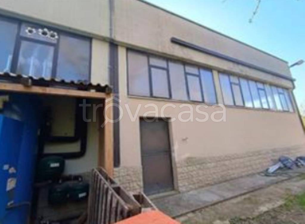 immagine annuncio 7 di 11