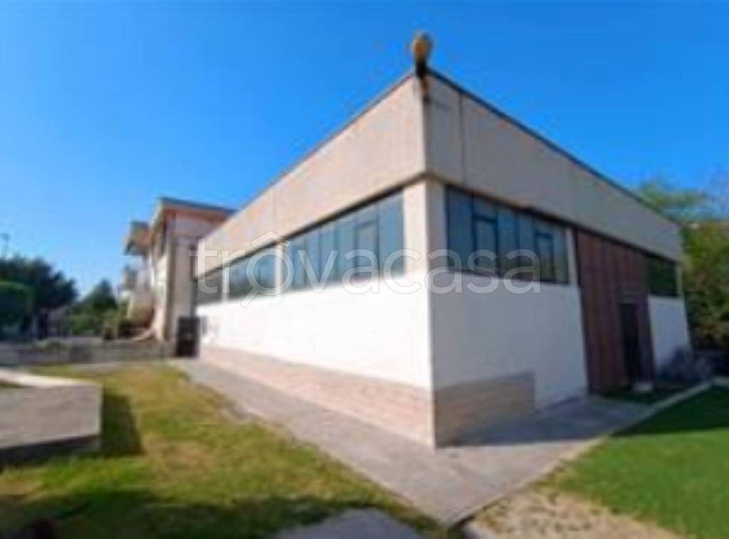 immagine annuncio 4 di 11