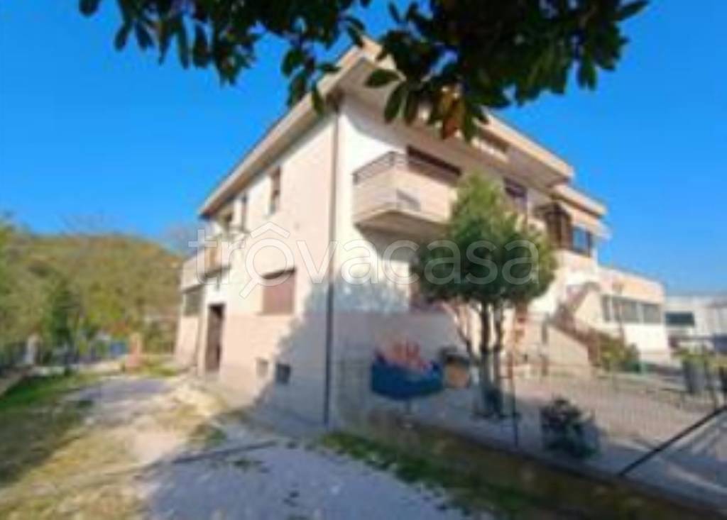 immagine annuncio 2 di 11