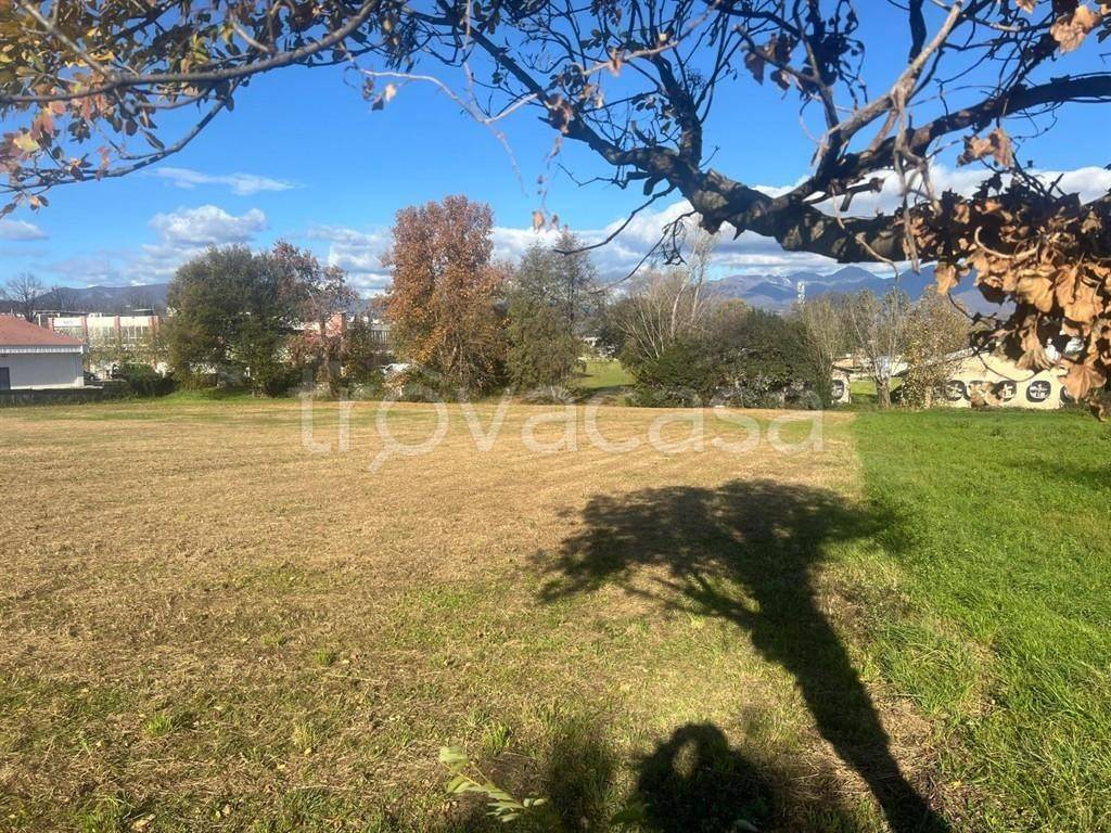 immagine annuncio 1 di 4