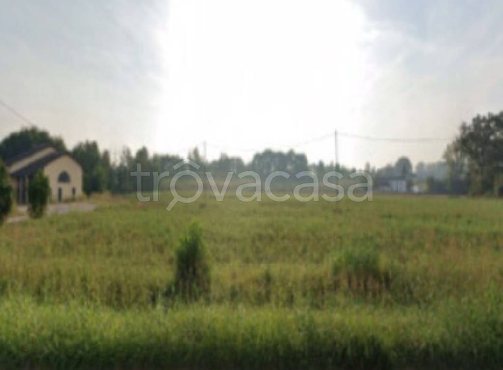 immagine annuncio 4 di 11