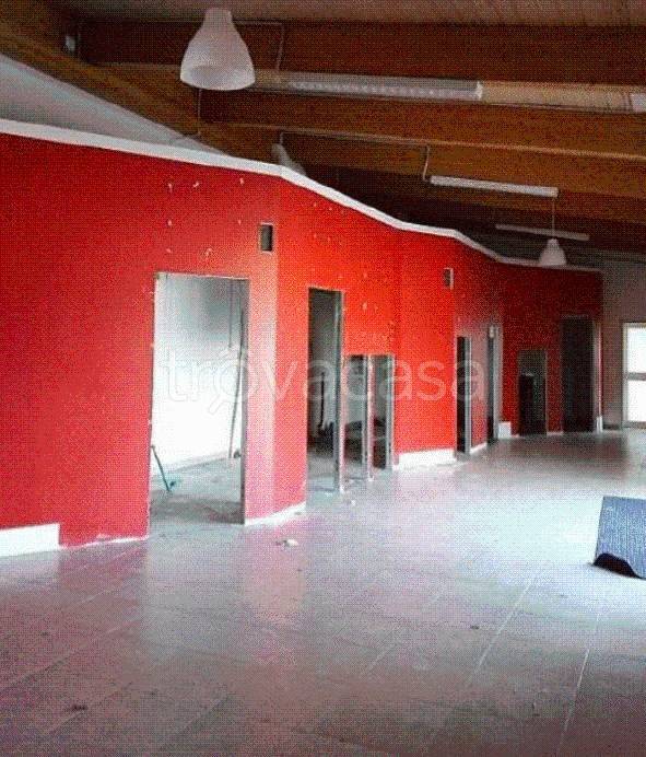 immagine annuncio 7 di 9