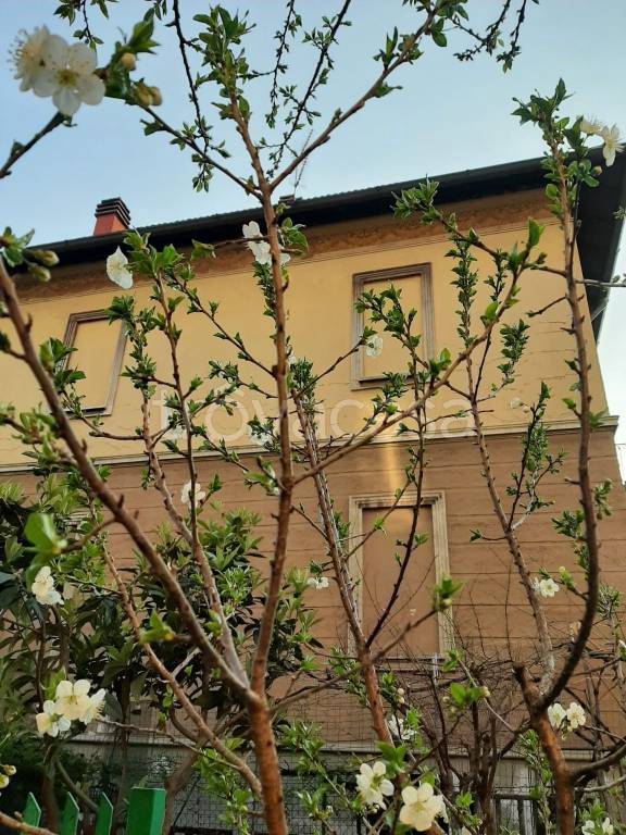 immagine annuncio 1 di 14