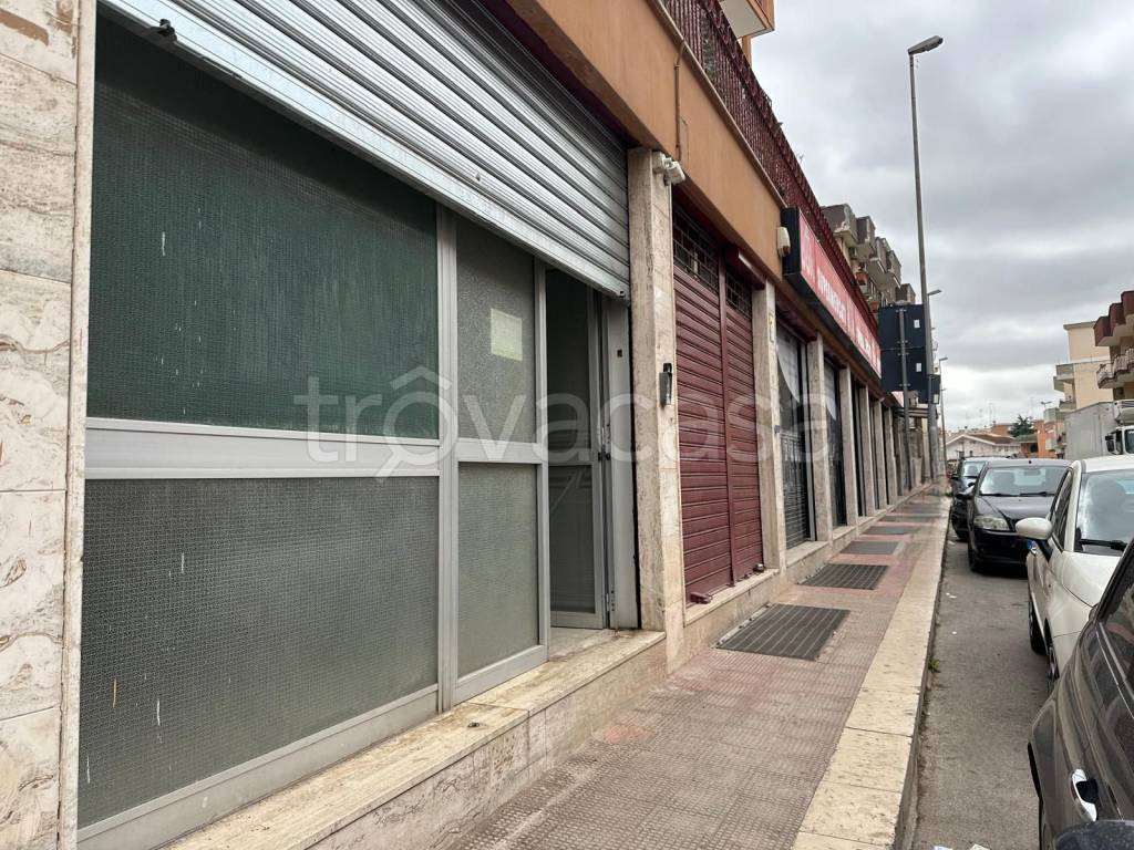 immagine annuncio 3 di 12