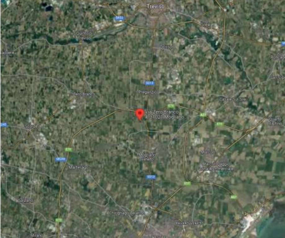 immagine annuncio 5 di 11