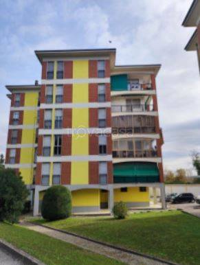 immagine annuncio 1 di 12