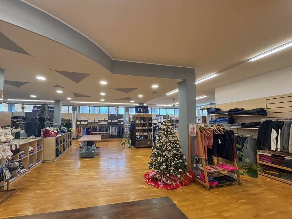 immagine annuncio 4 di 14