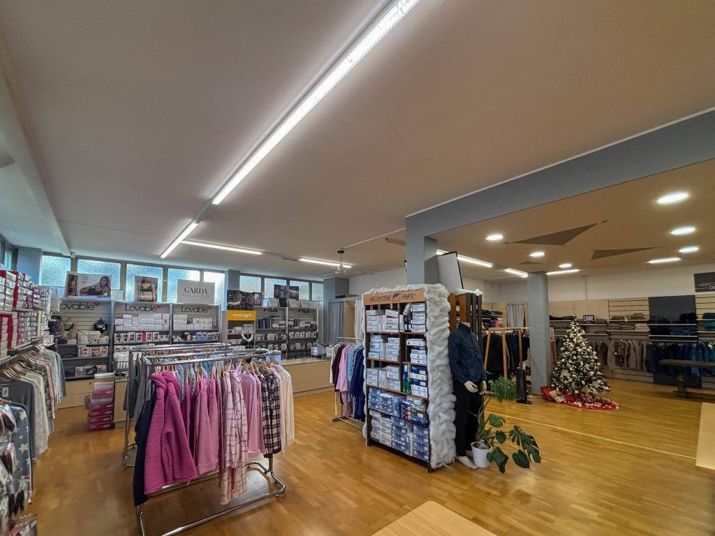 immagine annuncio 11 di 14