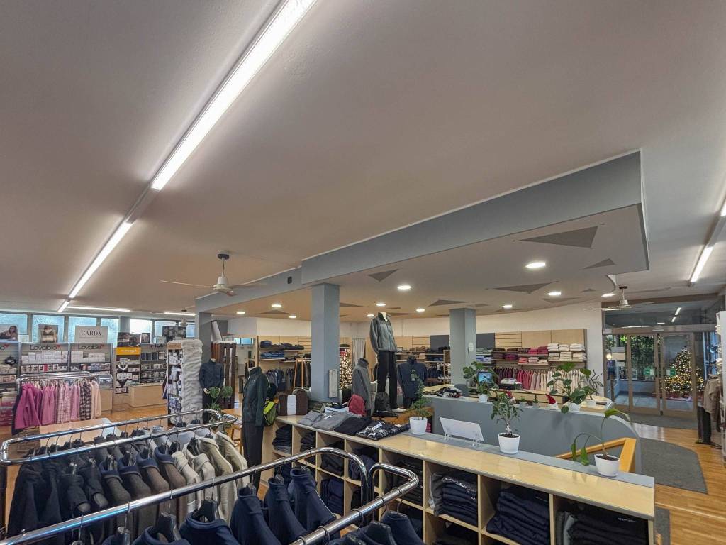 immagine annuncio 12 di 14