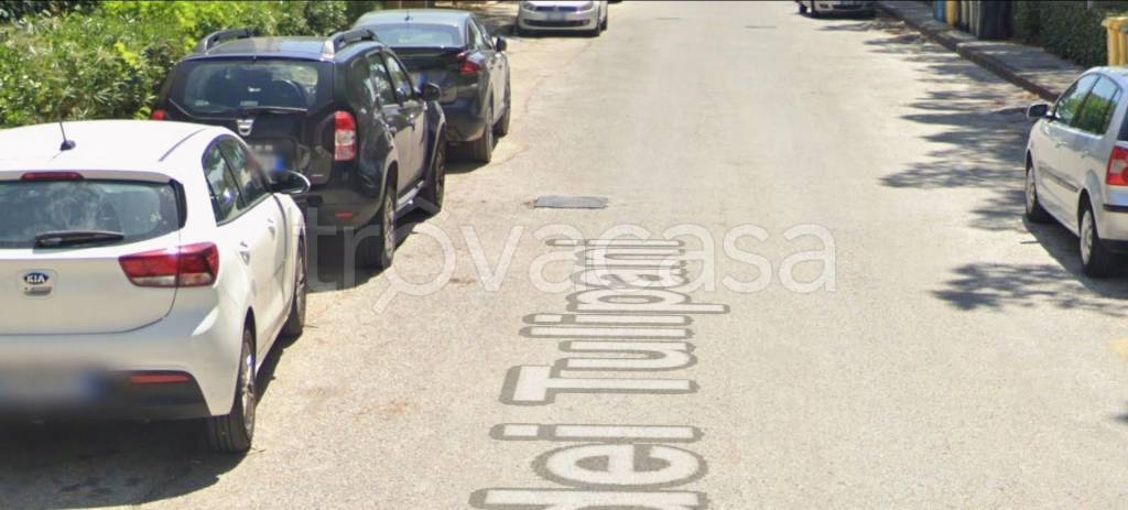 immagine annuncio 3 di 12