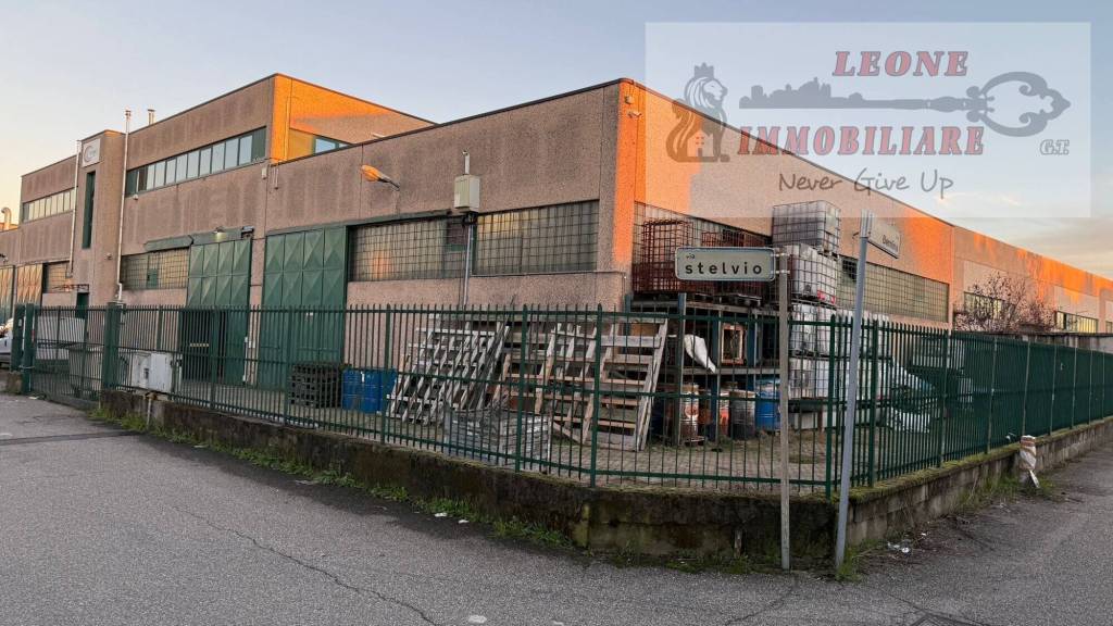 immagine annuncio 1 di 15