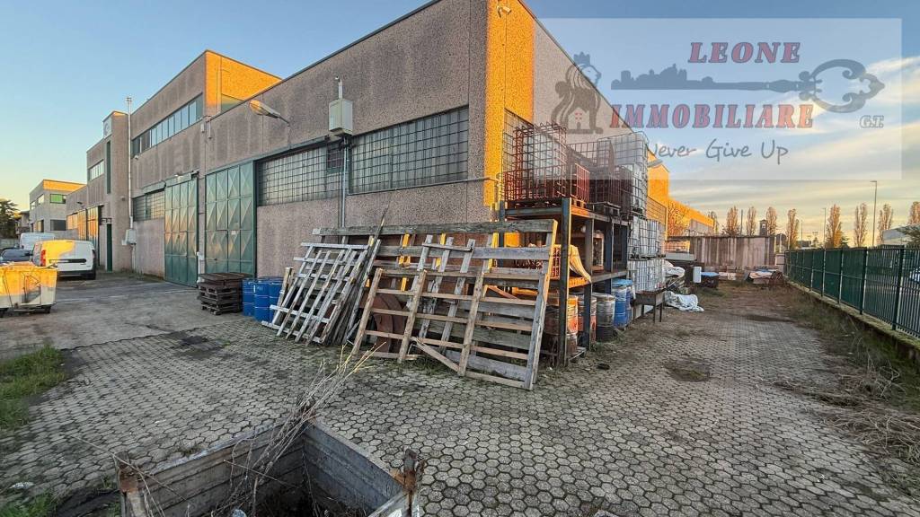 immagine annuncio 2 di 15