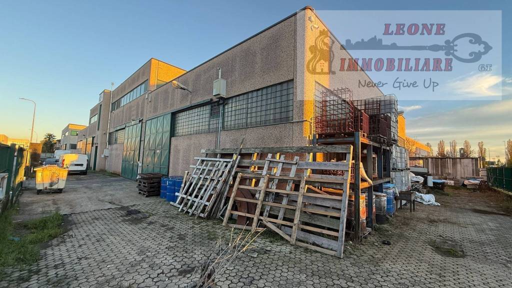 immagine annuncio 3 di 15