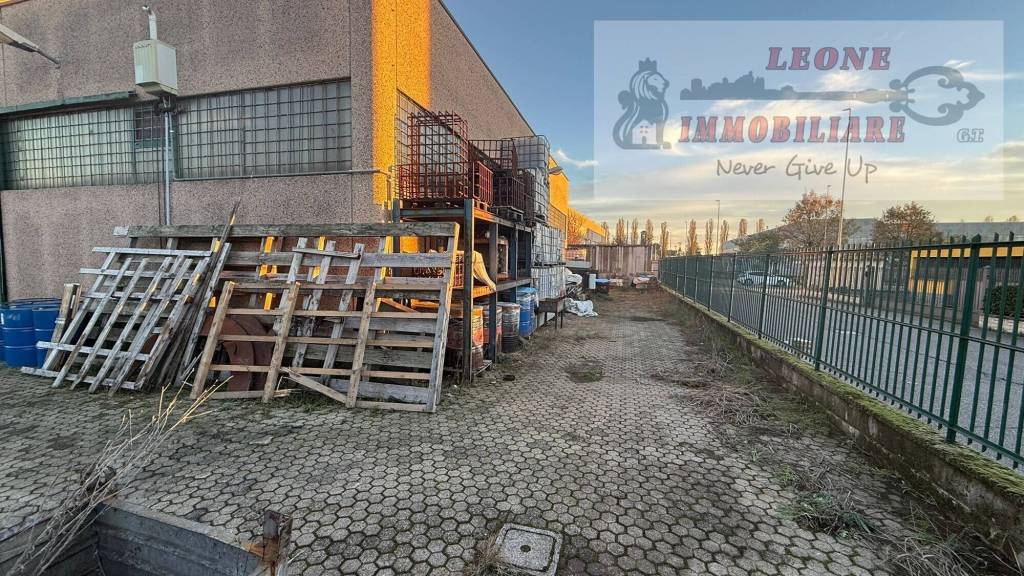 immagine annuncio 5 di 15