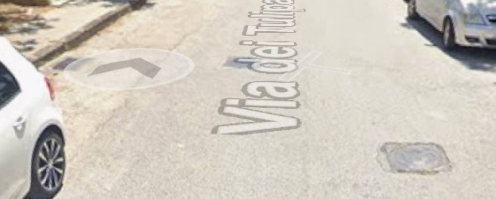 immagine annuncio 1 di 11