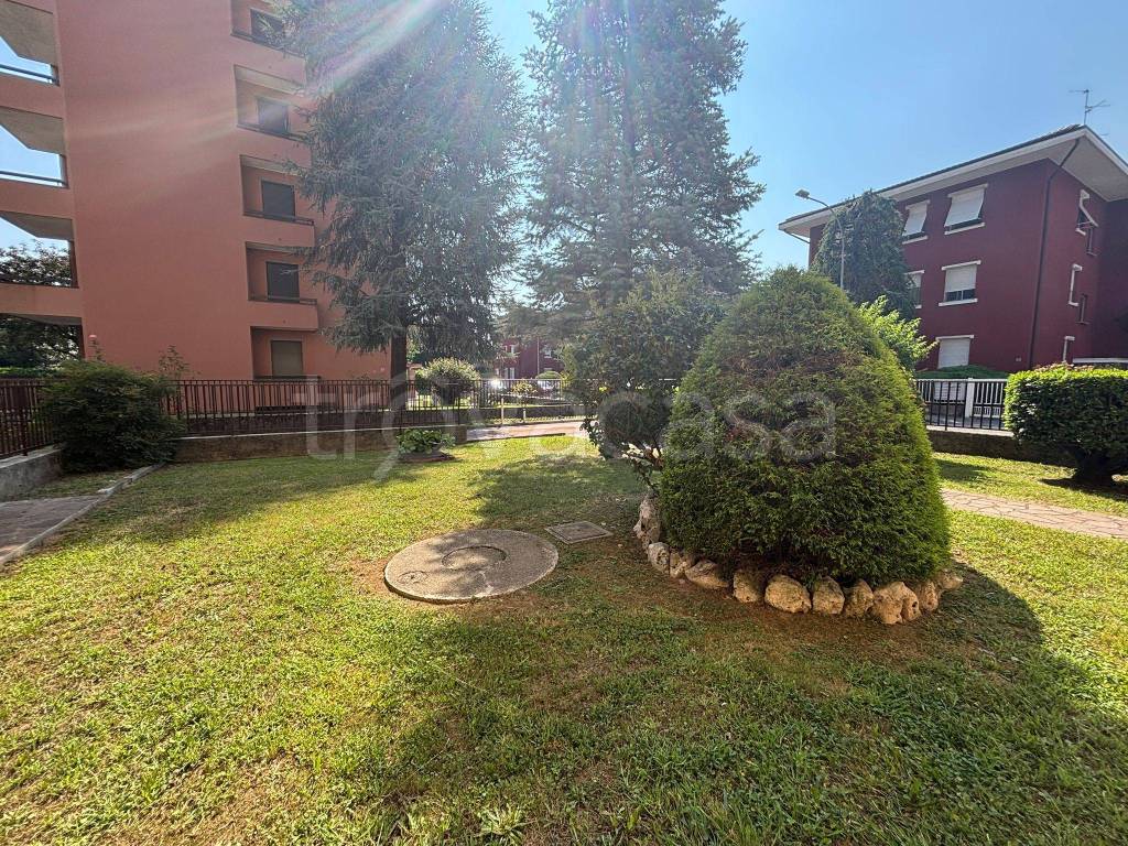 immagine annuncio 11 di 12