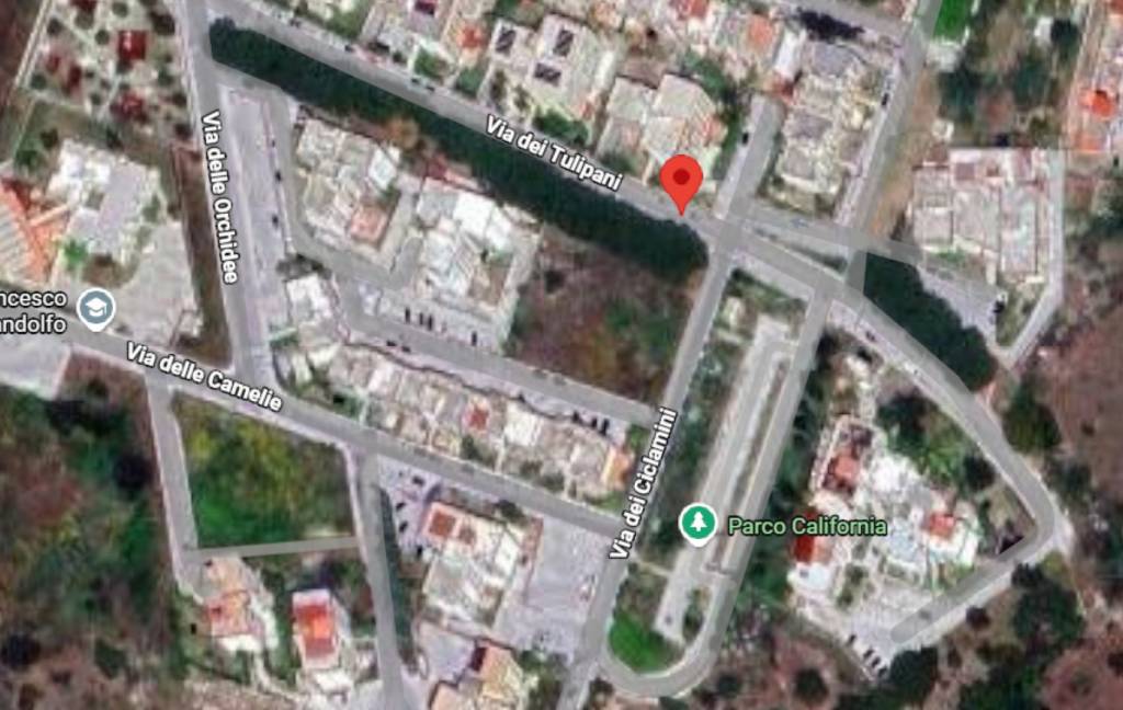 immagine annuncio 3 di 11