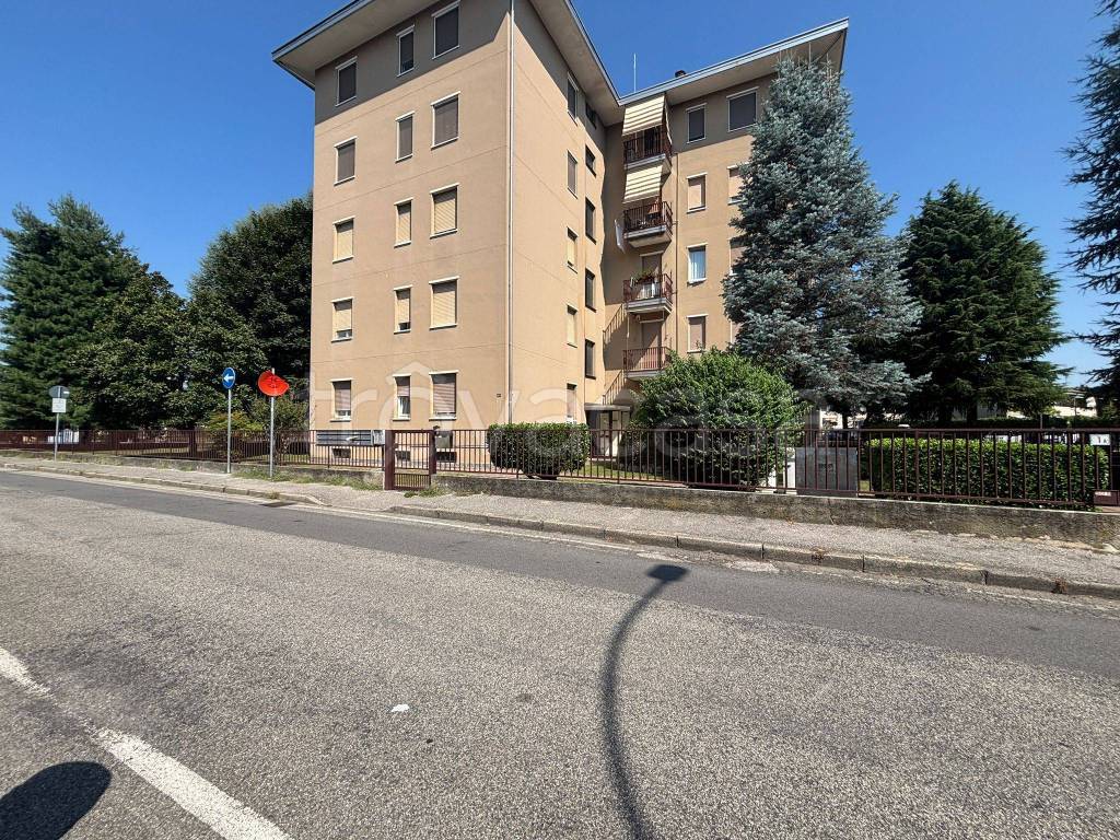 immagine annuncio 2 di 12