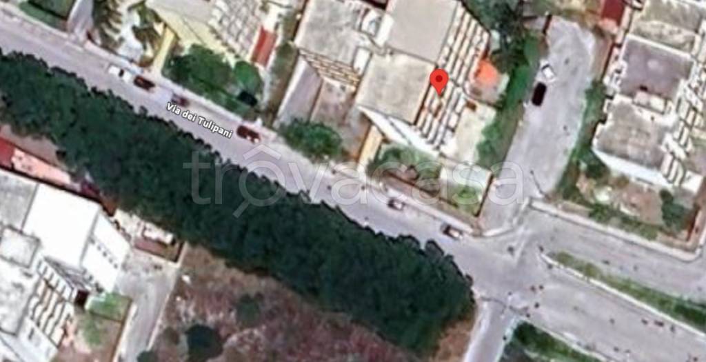 immagine annuncio 6 di 13