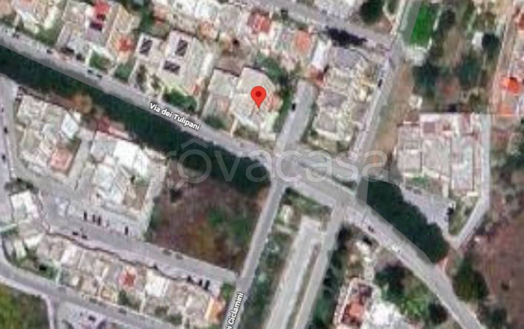 immagine annuncio 8 di 13