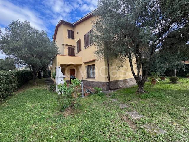 immagine annuncio 4 di 11