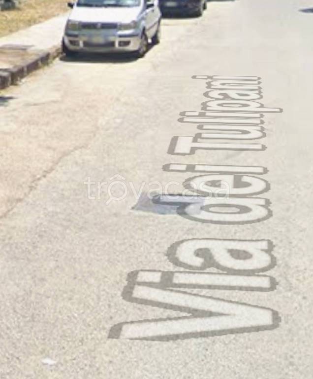 immagine annuncio 2 di 11