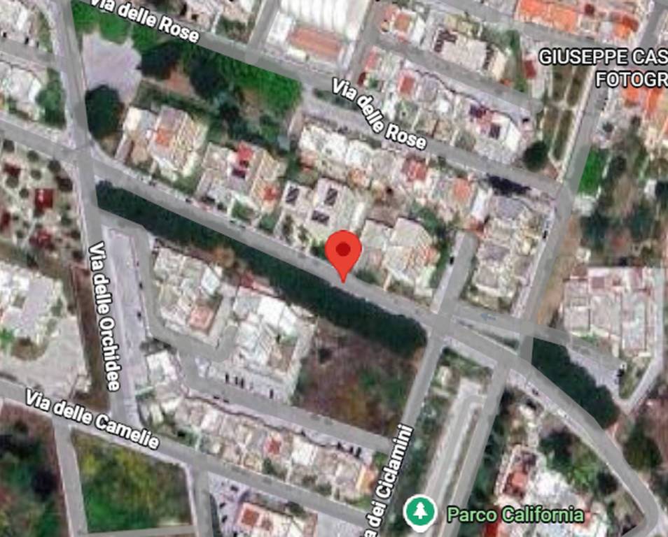 immagine annuncio 4 di 11